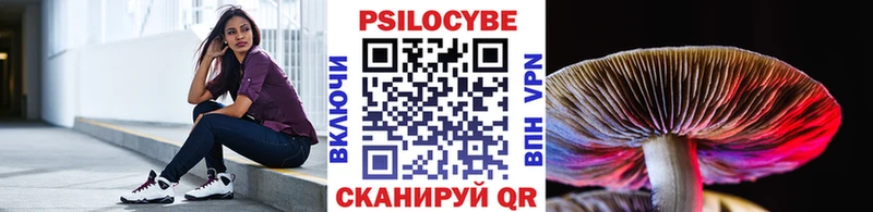 Галлюциногенные грибы Magic Shrooms  цены   Курск 